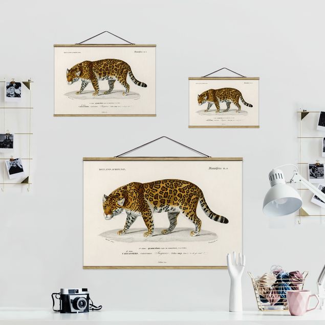 quadro animal Vintage Board Jaguar