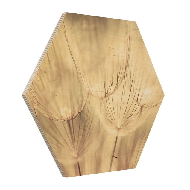 quadro de madeira para parede Dandelions Close-Up In Cozy Sepia Tones