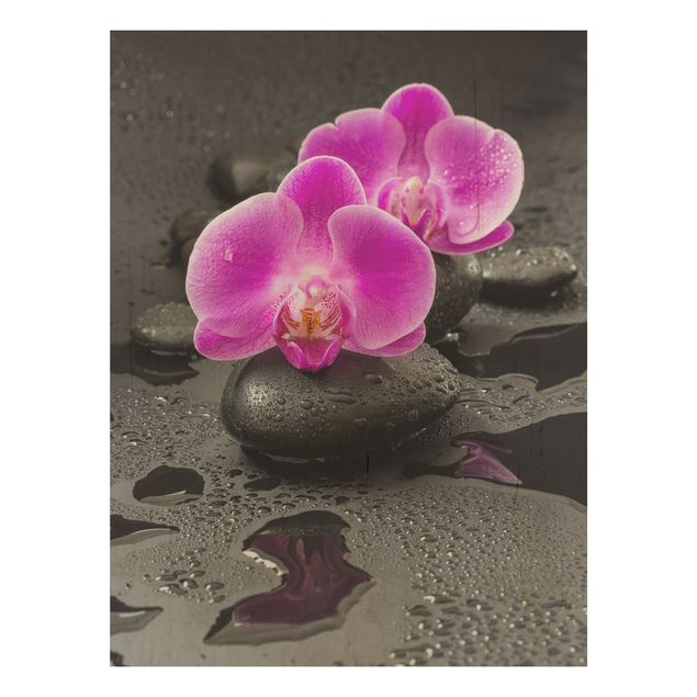 Quadros em madeira flores Pink Orchid Flower On Stones With Drops