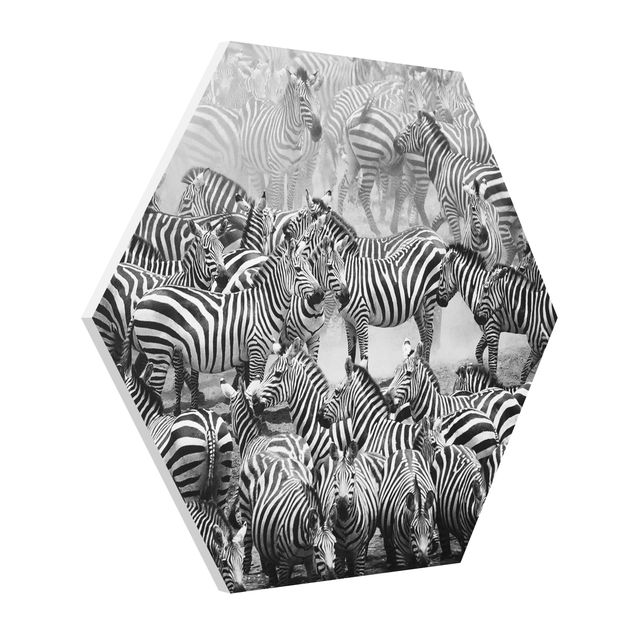 quadros modernos para quarto de casal Zebra herd II