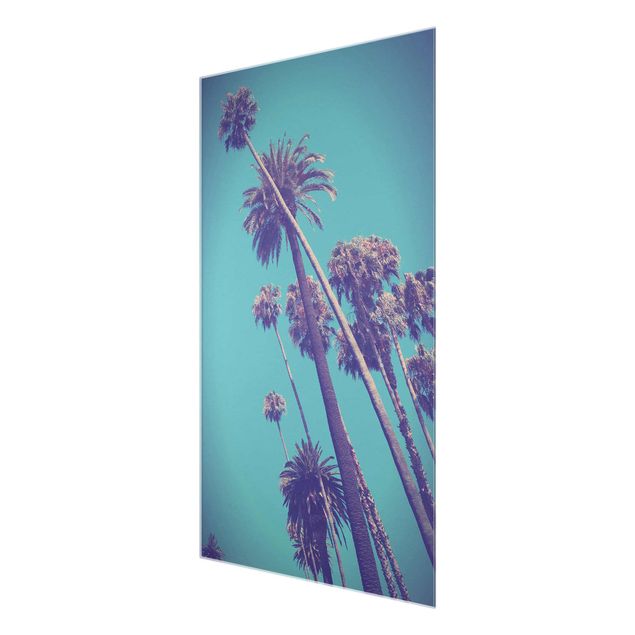 quadro com flores Tropical Plants Palm Trees And Sky