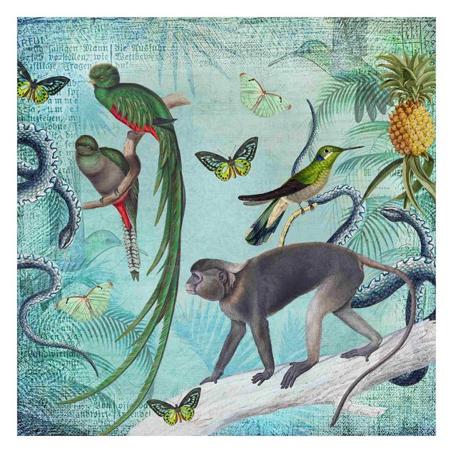 papel de parede com animais Colonial Style Collage - Monkeys And Birds Of Paradise