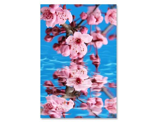Autocolantes para vidros flores Cherry Blossom
