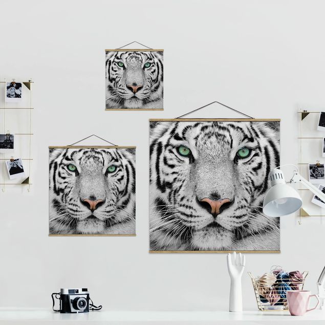 Quadros decorativos White Tiger