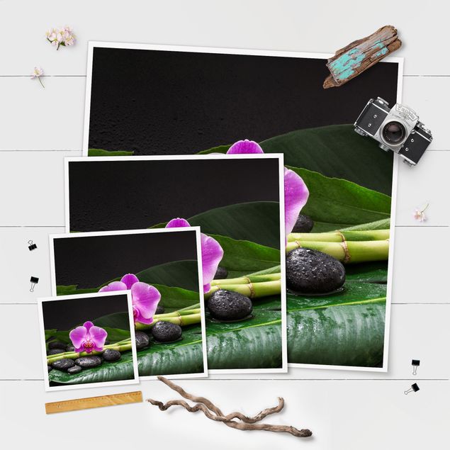 Quadros de Uwe Merkel Green Bamboo With Orchid Flower