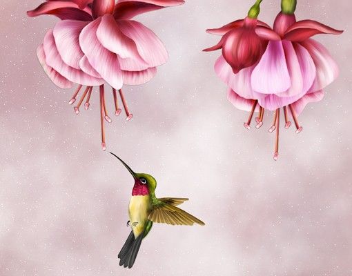 Películas autocolantes Hummingbird