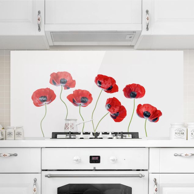 decoraçao cozinha Ladybug Poppies