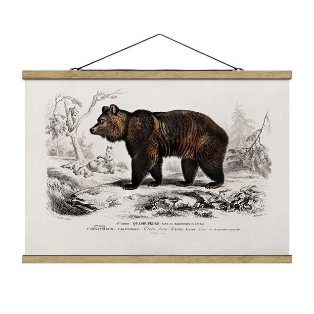 Quadros vintage Vintage Board Brown Bear