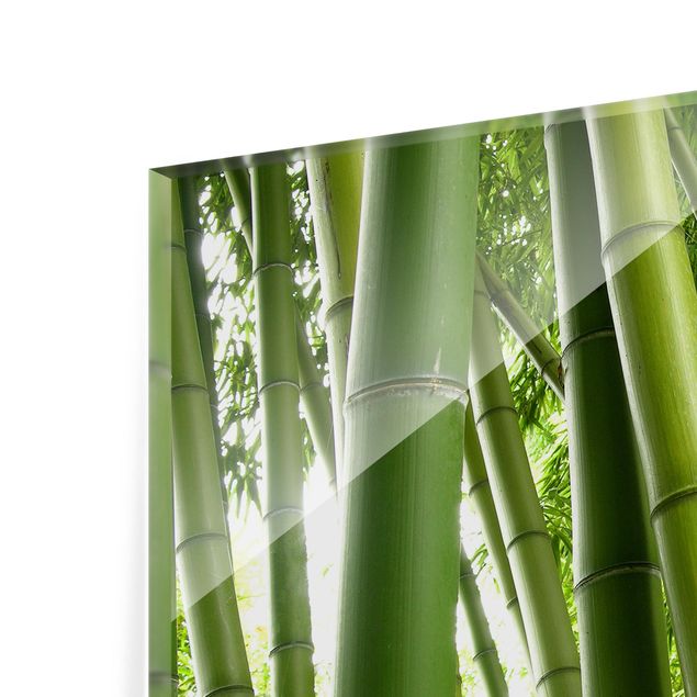 Painel anti-salpicos de cozinha Bamboo Trees