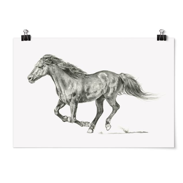 Posters animais Wild Horse Trial - Mare