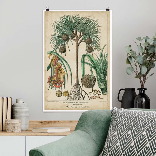 decoraçao para parede de cozinha Vintage Board Exotic Palms I