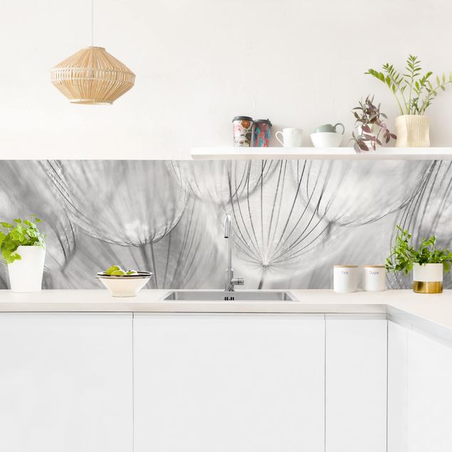 Backsplash de cozinha flores Dandelions Macro Shot In Black And White