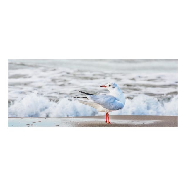 Painel anti-salpicos de cozinha Seagull On The Beach In Front Of The Sea