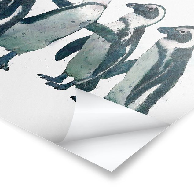 Quadros decorativos Illustration Penguins Black And White Watercolour