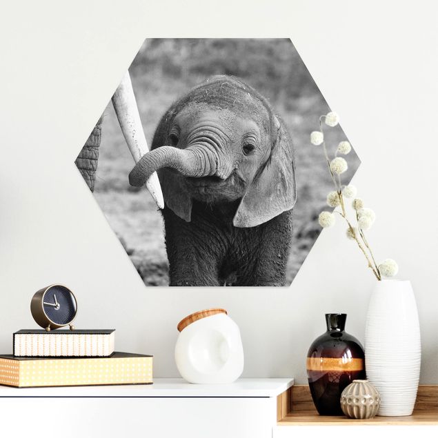decoraçoes cozinha Baby Elephant