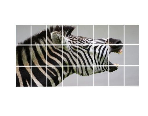 película autocolante Roaring Zebra