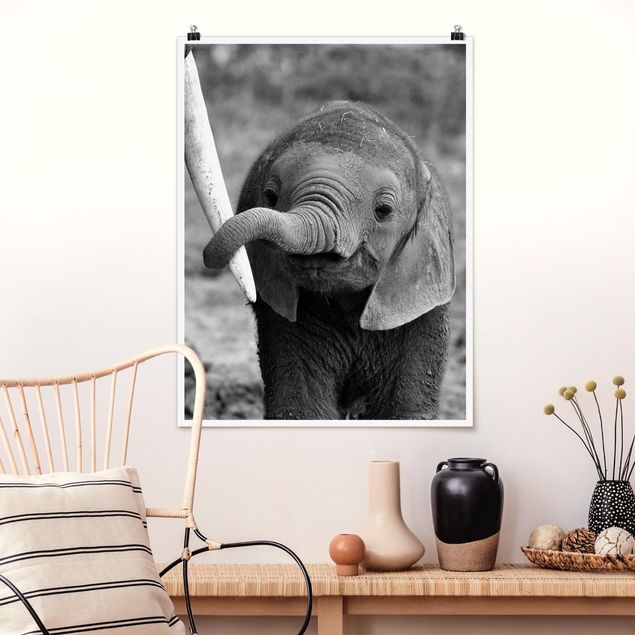 decoraçao cozinha Baby Elephant