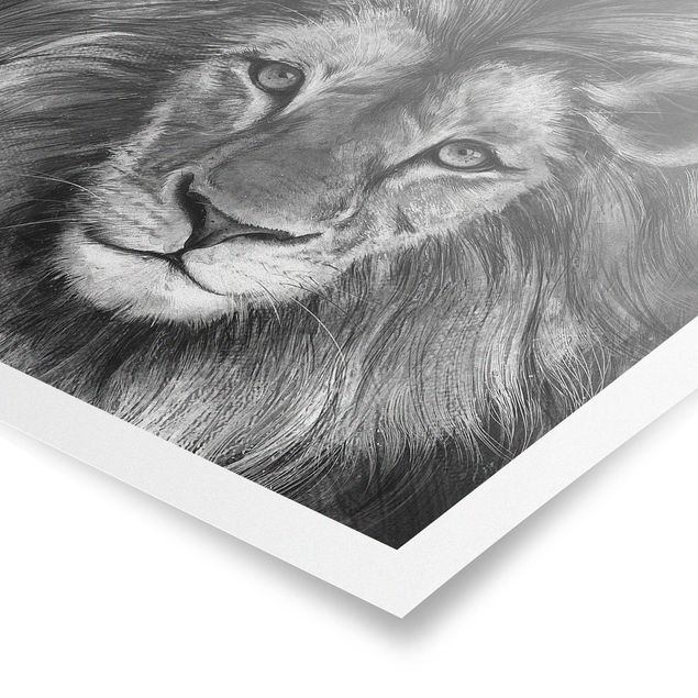 Posters animais Illustration Lion Monochrome Painting