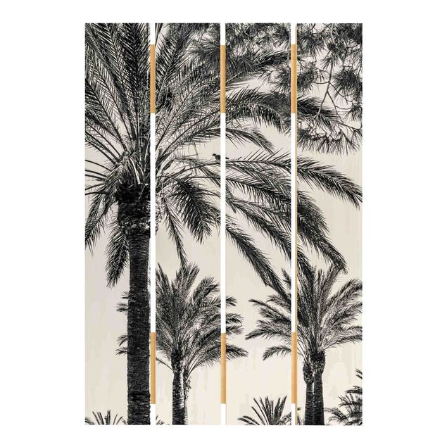 Quadros de Uwe Merkel Palm Trees At Sunset Black And White