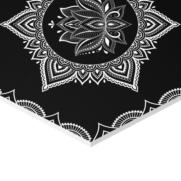 Quadros pretos Lotus OM Illustration Set Black