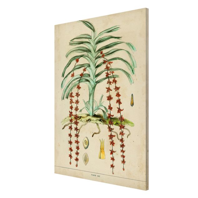 Quadros florais Vintage Board Exotic Palms IV