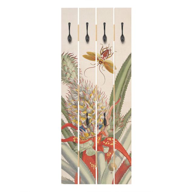 Cabides de parede imitação madeira Anna Maria Sibylla Merian - Pineapple With Insects