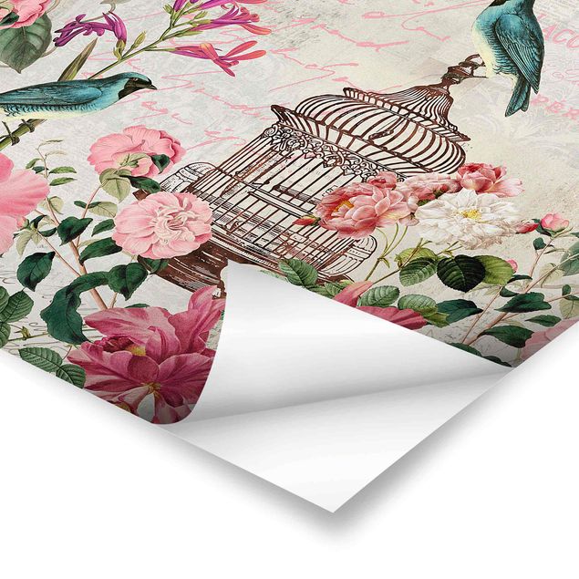 Quadros de Andrea Haase Shabby Chic Collage - Pink Flowers And Blue Birds