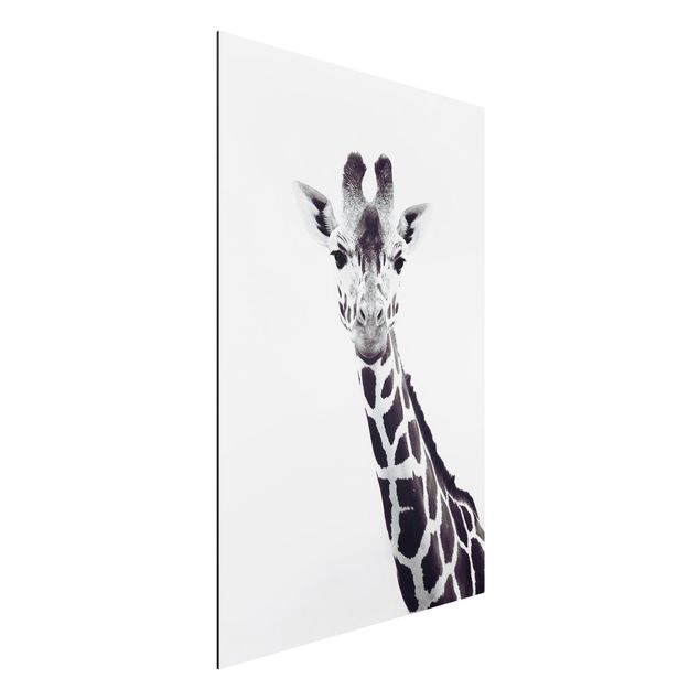 decoraçoes cozinha Giraffe Portrait In Black And White