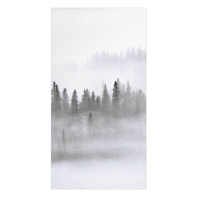 Revestimento de parede para duche Fog In The Fir Forest Black And White
