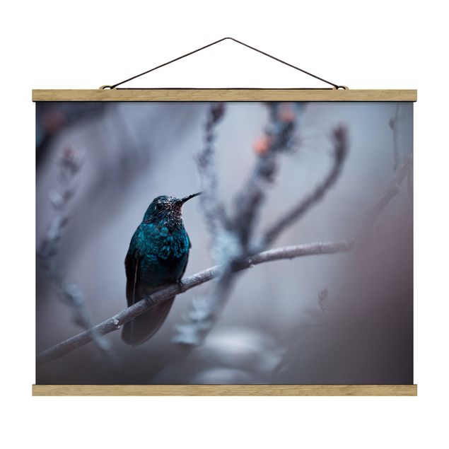 quadro animais quarto bebé Hummingbird In Winter