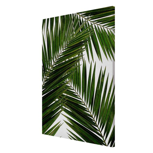 Quadros magnéticos flores View Through Green Palm Leaves