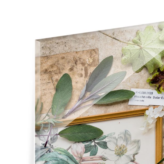 Painel anti-salpicos de cozinha Flowers And Garden Herbs Vintage