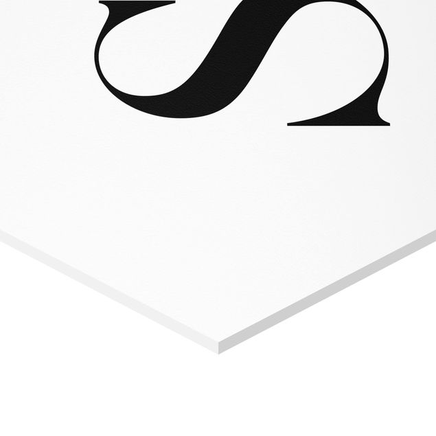 Quadros hexagonais Letter Serif White S