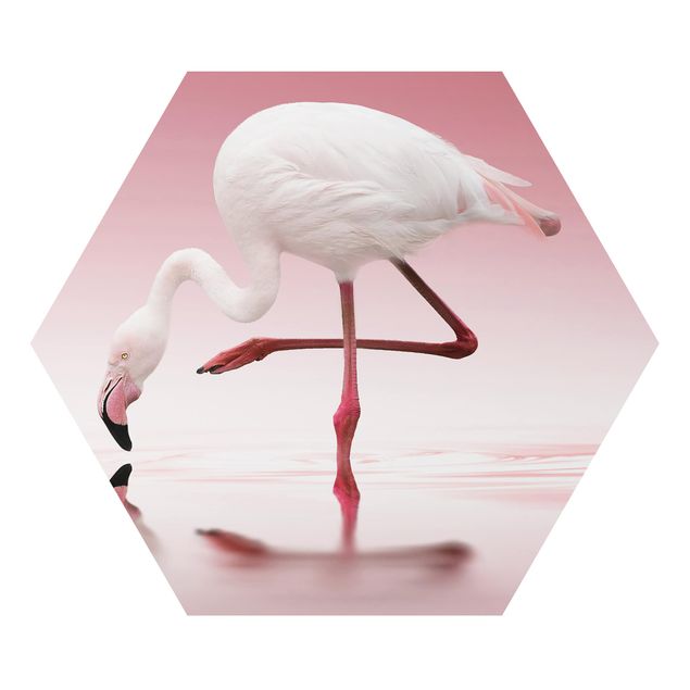 Quadros rosas Flamingo Dance