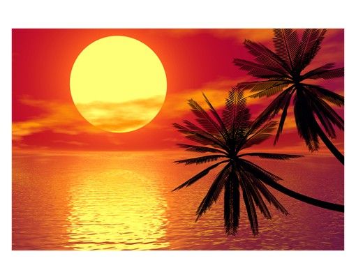 Películas autocolantes Caribbean sunset