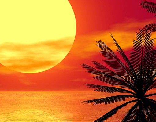 Péliculas para janelas Caribbean sunset