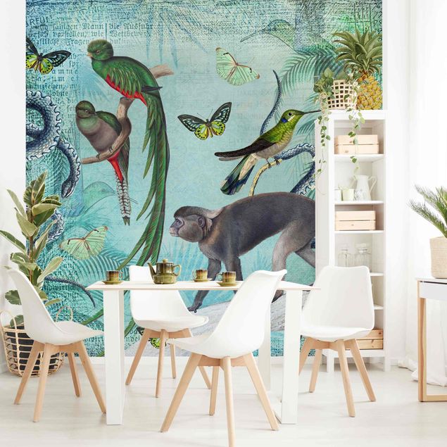 papel parede pássaro Colonial Style Collage - Monkeys And Birds Of Paradise