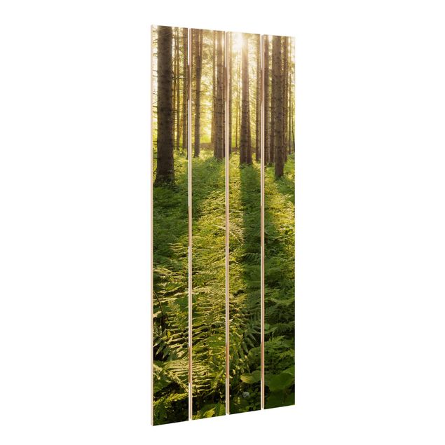 quadros em madeira para decoração Sun Rays In Green Forest