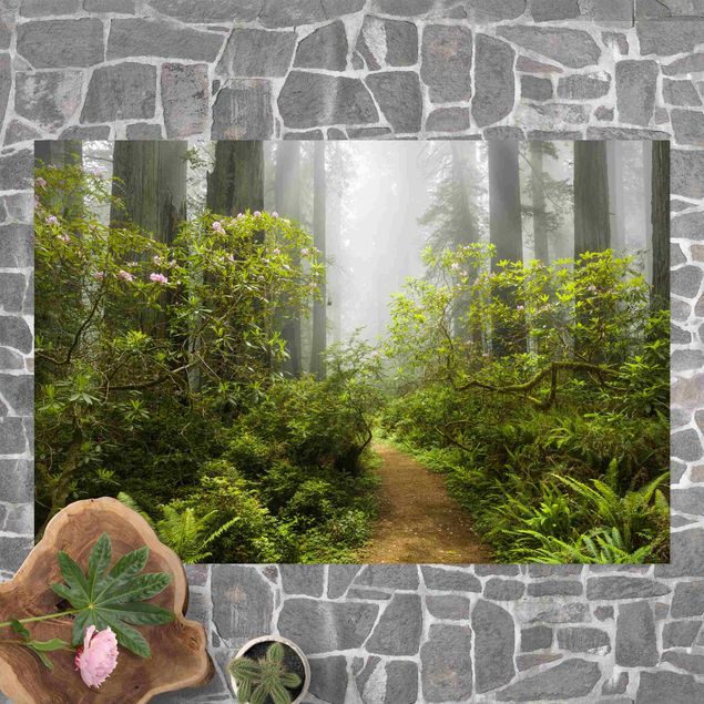 Tapete para varandas Misty Forest Path