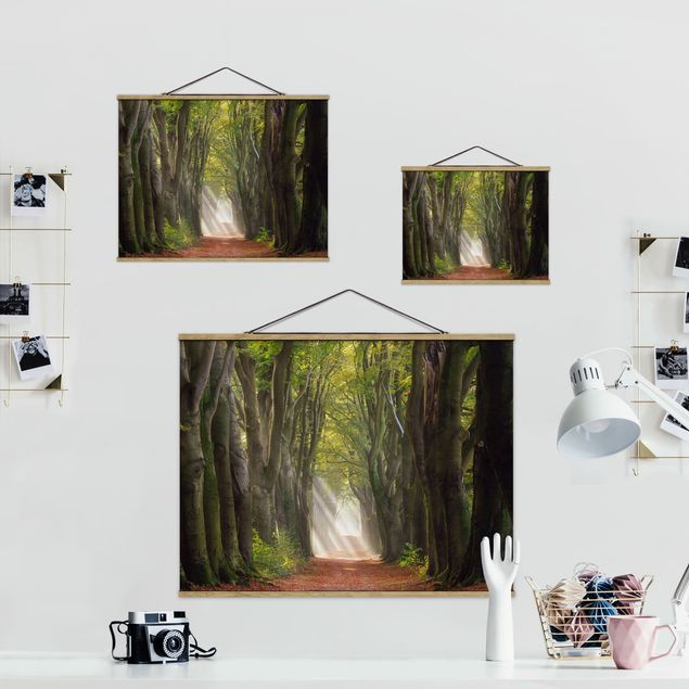 quadro decorativo verde Glorious Day In The Forest