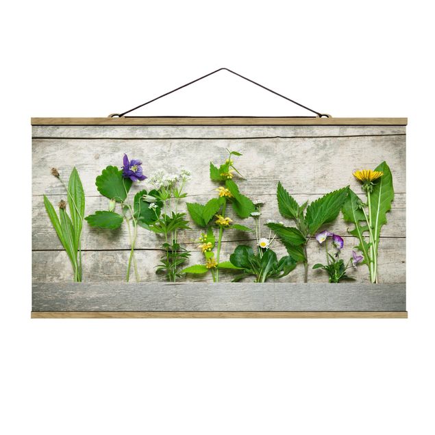 quadros para parede Medicinal and Meadow Herbs