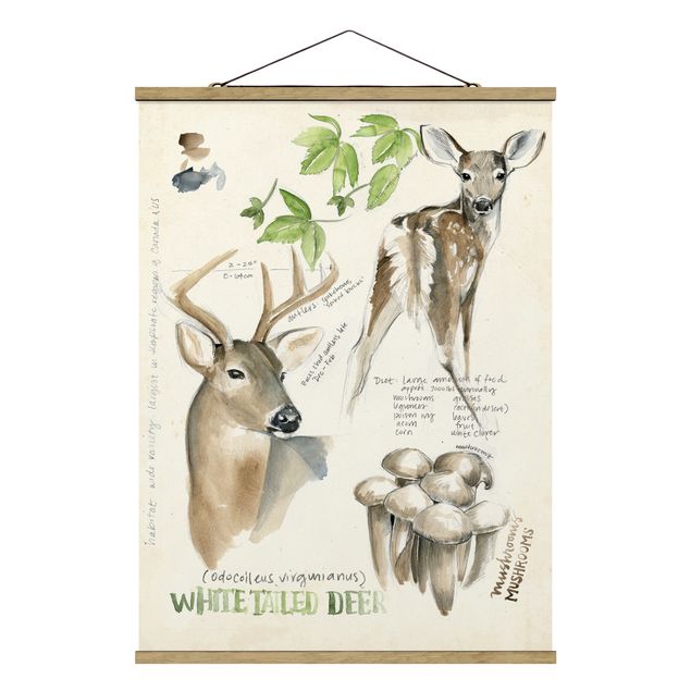quadros flores Wilderness Journal - Deer