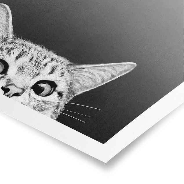 Quadros pretos Illustration Cat Black And White Drawing