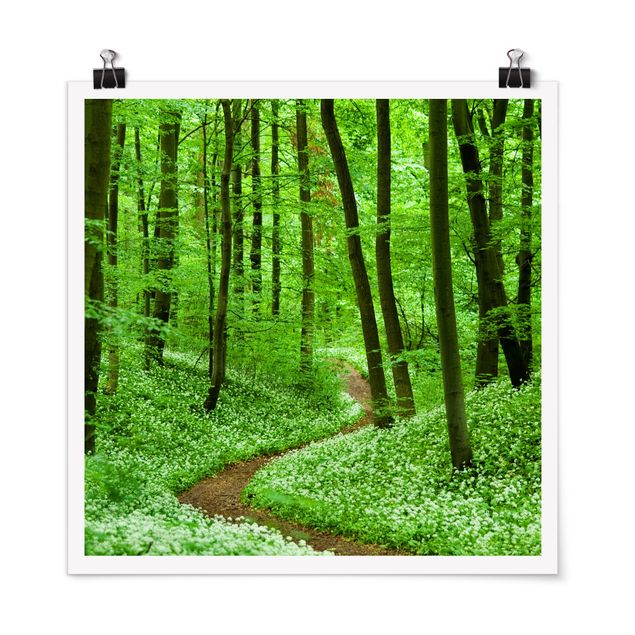 quadro com paisagens Romantic Forest Track
