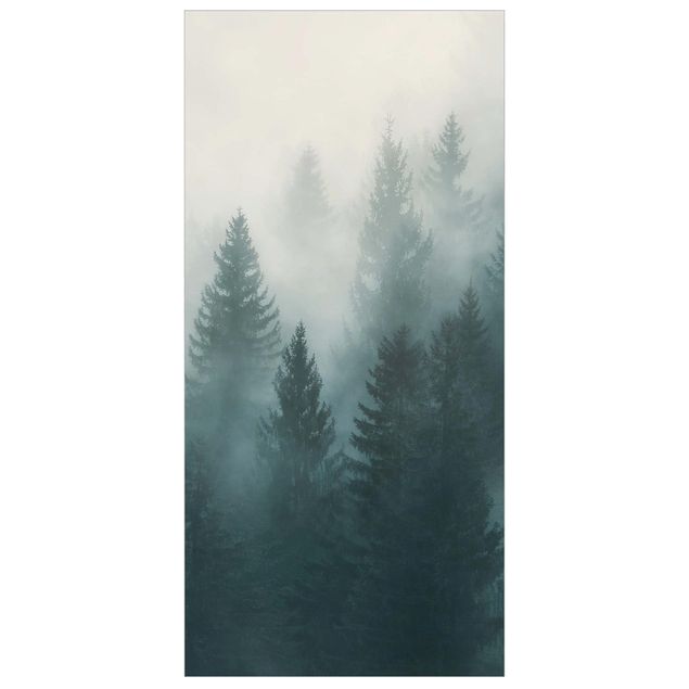 Divisórias de ambiente Coniferous Forest In Fog