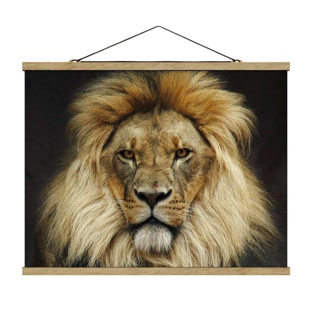 Quadros animais Wisdom Of Lion