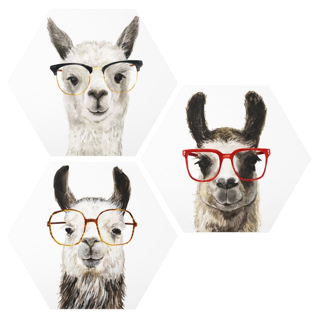 quadro animal Cool IIlamas With Glasses Set I