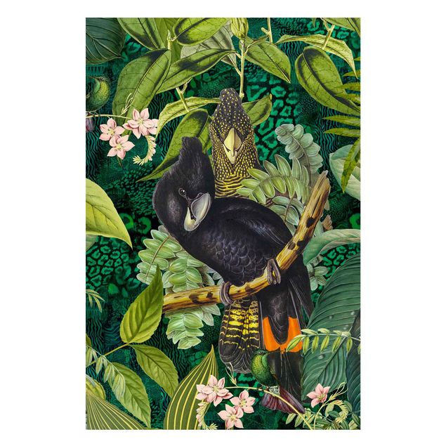 Quadros selva Colourful Collage - Cockatoos In The Jungle