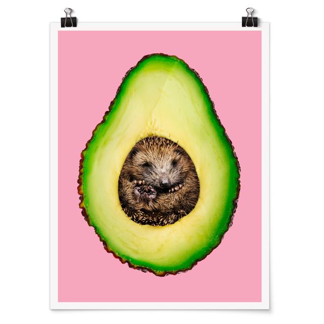 Posters animais Avocado With Hedgehog