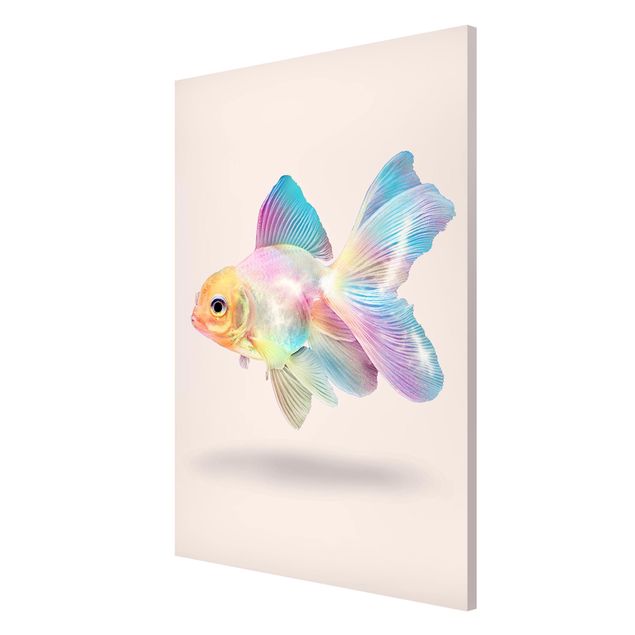 Quadros magnéticos animais Fish In Pastel